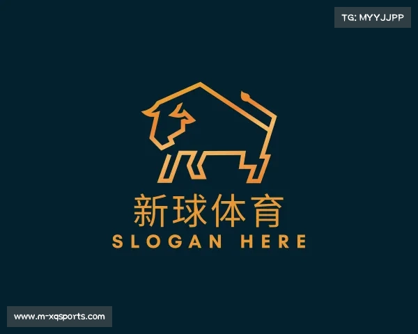 解读新球体育